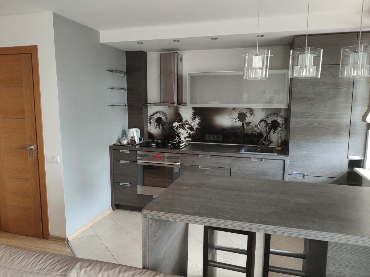 Nikoletos Apartamentai Паневежис Экстерьер фото